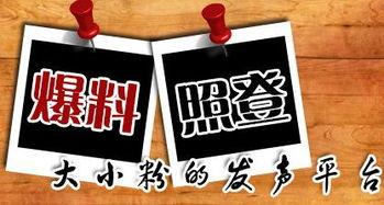 重庆新闻媒体爆料大全,聚焦城市热点，解码社会动态